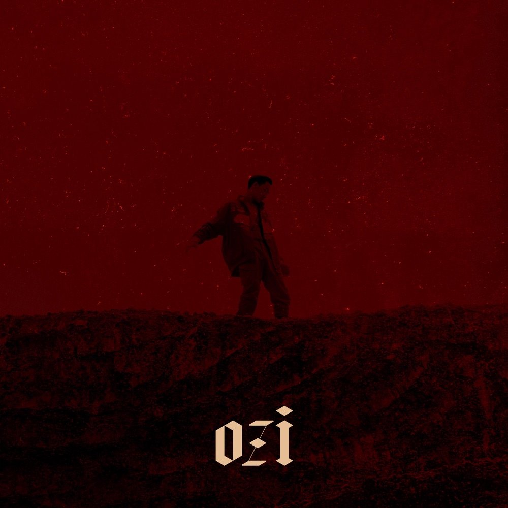 Pochette ØZI: The Album