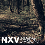 Bridging Divisions