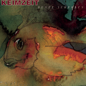 Keimzeit – Bunte Scherben