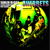 SANLIN BUGGY