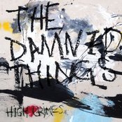Album art for High Crimes by The Damned Things