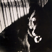 Stickdog