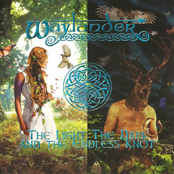 The Light The Dark And The Endless Knot