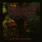 Anthropogenic