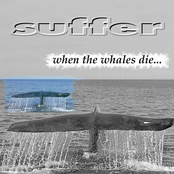 when the whales die
