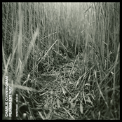 Charlie Cunningham – Permanent Way