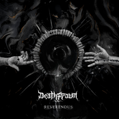 Reverendus