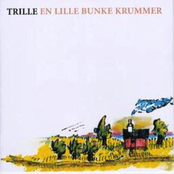 En lille bunke krummer