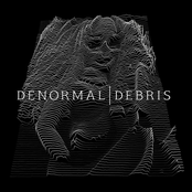 Debris