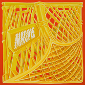 Magpie (Live in Bangkok)