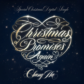 Christmas Promises: Again
