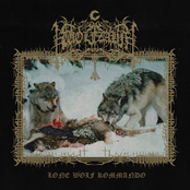 Lone Wolf Kommando