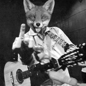 Pissing on the floor, The Fox paws off to Johnny Cash while starting a pissing contest