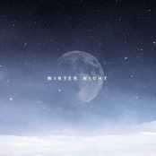 Winter Night