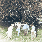 Atmos - The 6th Mini Album — SHINee