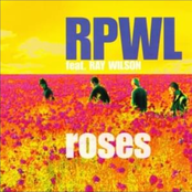 Roses (Revisited)