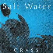 Salt Water