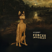 Forces invisibles