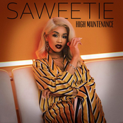 High Maintenance cover