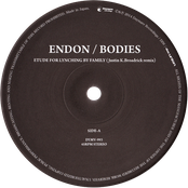BODIES