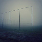WINTER HAZE