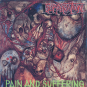 Pain and Suffering