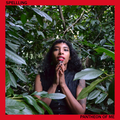 Pantheon of Me EP