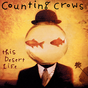 Counting Crows – This Desert Life
