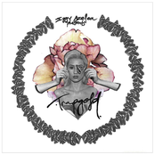 Trapgold cover