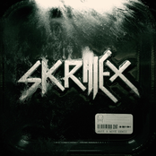 Make a Move (Skrillex Remix)