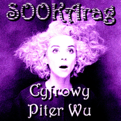 Cyfrowy Piter Wu