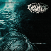 Roses & Rotting Corpses