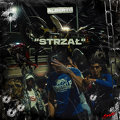 Strzał