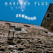 Zebrano