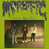 Cadaveric Maggot Farm