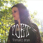 Poet cover