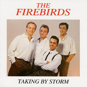 The Firebirds – Taking By Storm