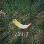 Rabbit Hole