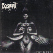 The Wake