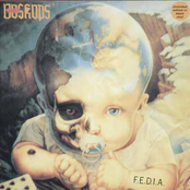 F.e.d.i.a.