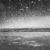 Rain Must Fall