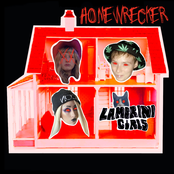 HOMEWRECKER cover