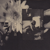 Conceit