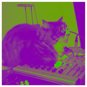Cat Noise Wall