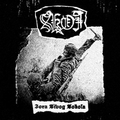 Zora Sivog Sokola