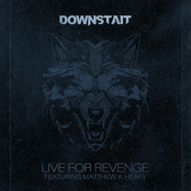 Live For Revenge