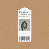 planting tomatoes cover