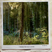 I Inside the Old I Dying cover