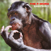 The F-Word