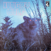 Hungry Wolf
